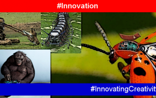 Innovation and nature